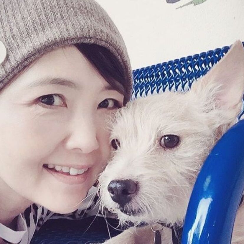 マクロス「愛・おぼえていますか」で一躍脚光を浴びた飯島真理！現在は何をやってるの？