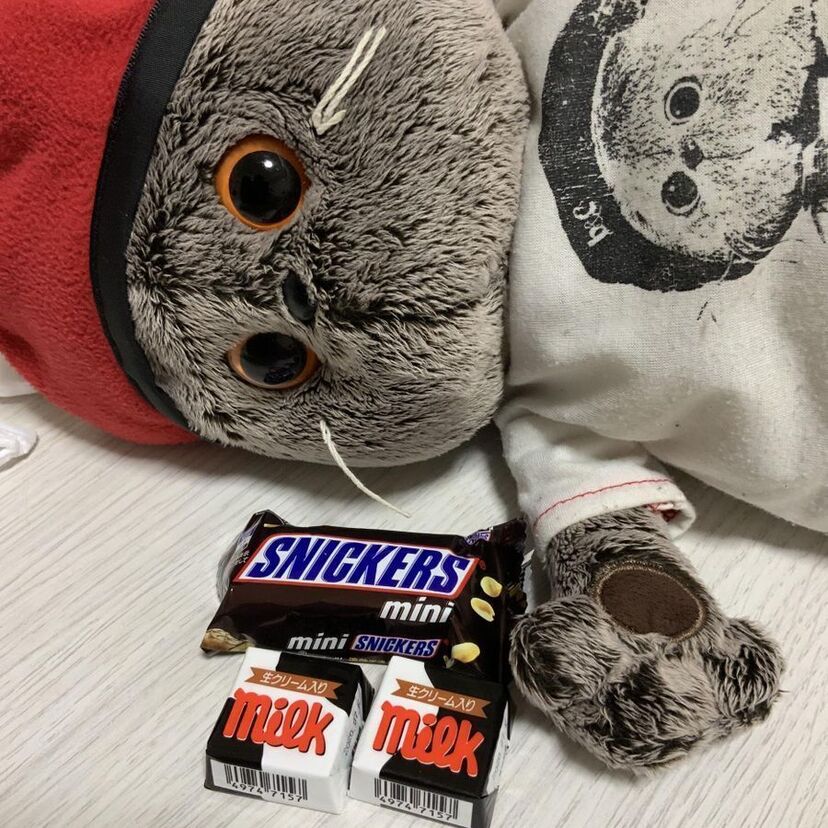 自分の名前見つけた?…「ハンコください!!」