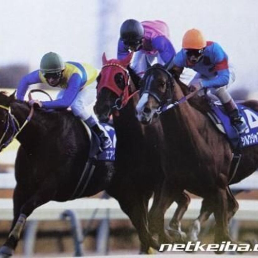 友とつかんだGIタイトル、グランプリホース・シルクジャスティス