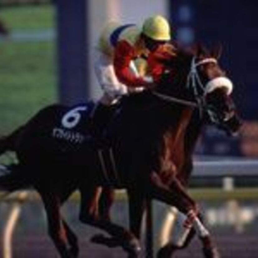 3度の難病を乗り越えつかんだ勲章！不屈のGI馬・オフサイドトラップ