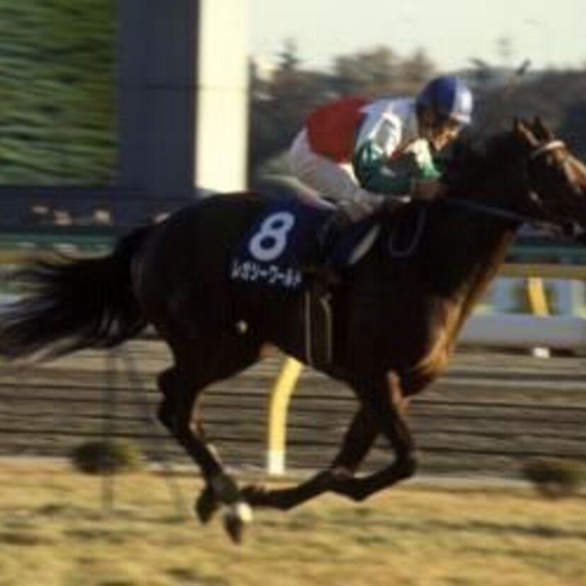 日本競馬史上初めてGIを勝利した騙馬・暴れん坊レガシーワールド