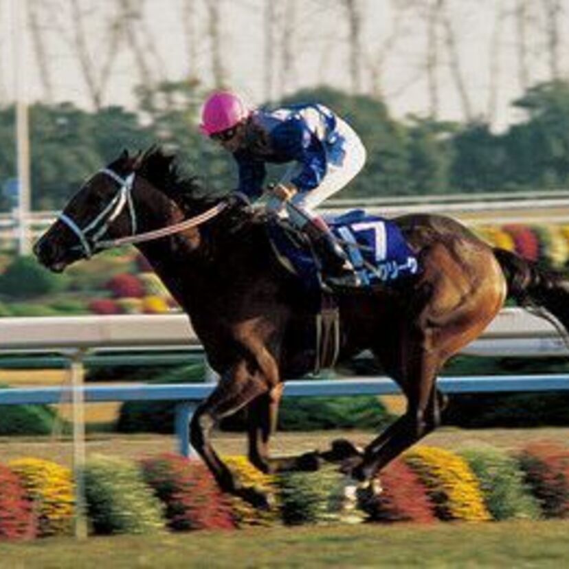 競馬界のレジェンド・武豊に初めてのGI勝利をもたらした馬、スーパークリーク