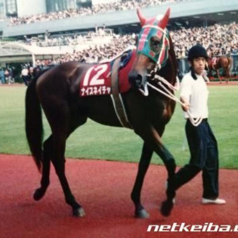 ファンに愛されたブロンズコレクター！3年連続有馬記念3着・ナイスネイチャ