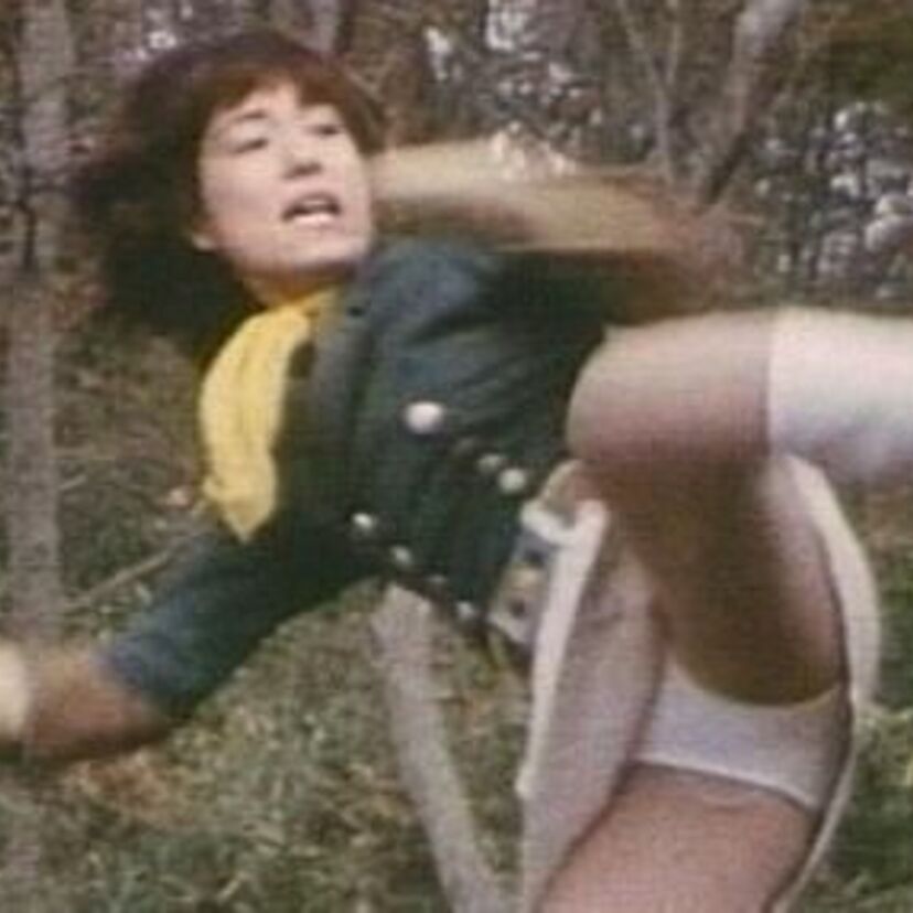 特撮ロボット・コレクション：レッドバロン（牧れい）・がんばれロボコン（島田歌穂）・キカイダー（水の江じゅん）・スーパー戦隊シリーズ他