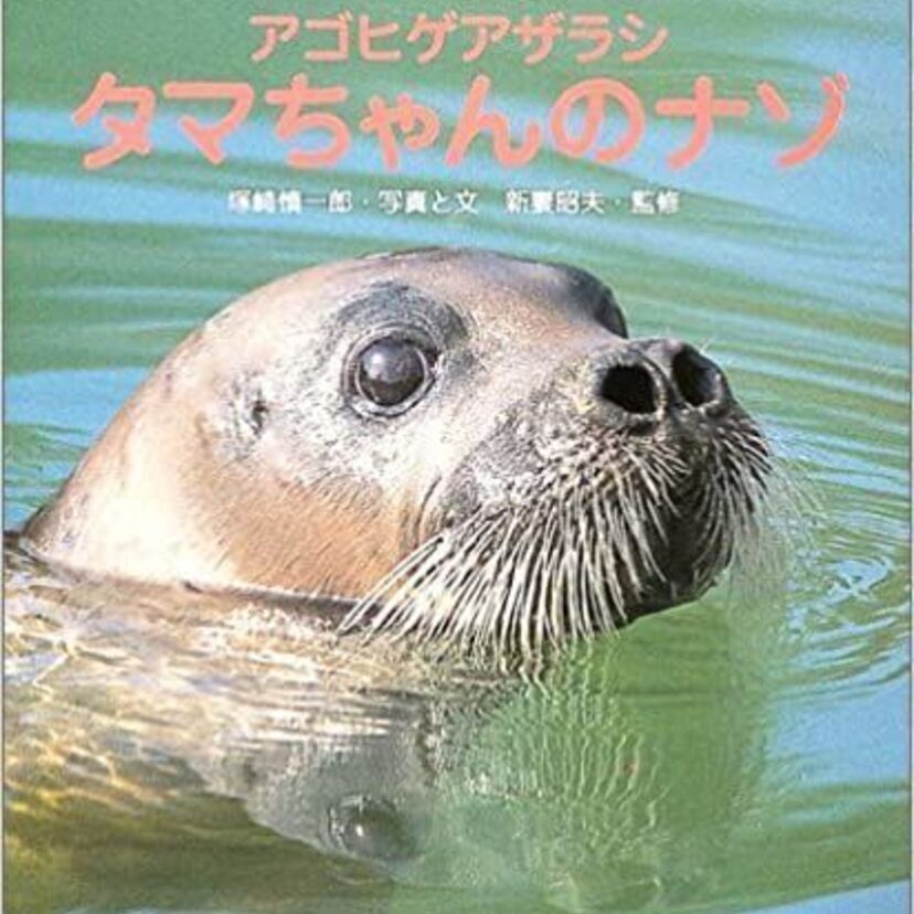 実際に見に行った人いますか？矢ガモや人面魚、タマちゃんetc.