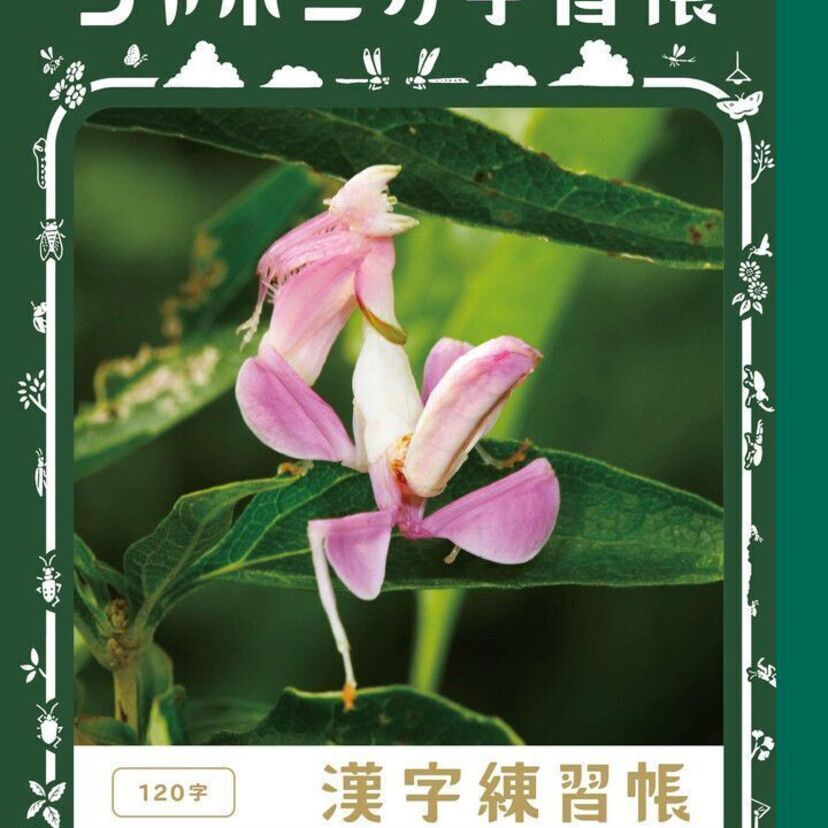 ジャポニカ学習帳がついに50周年！昆虫をテーマにした記念シリーズを発売！！