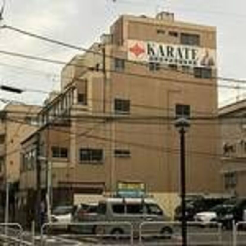 極真分裂.01  後継者の資格
