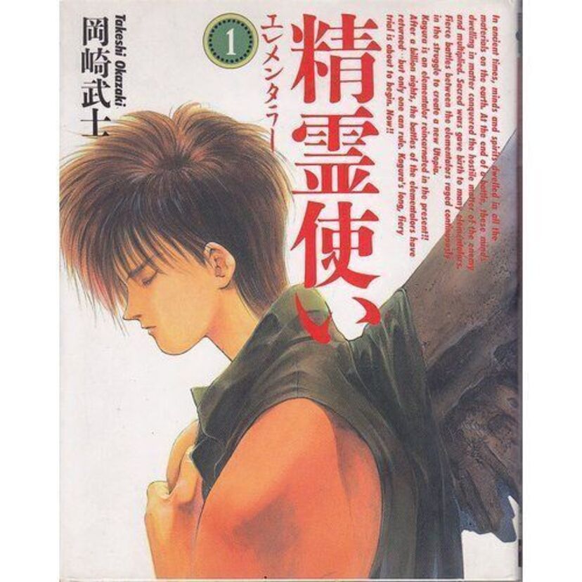 OVA版【精霊使い】のストーリーや魅力を振り返る!類似作品もご紹介!