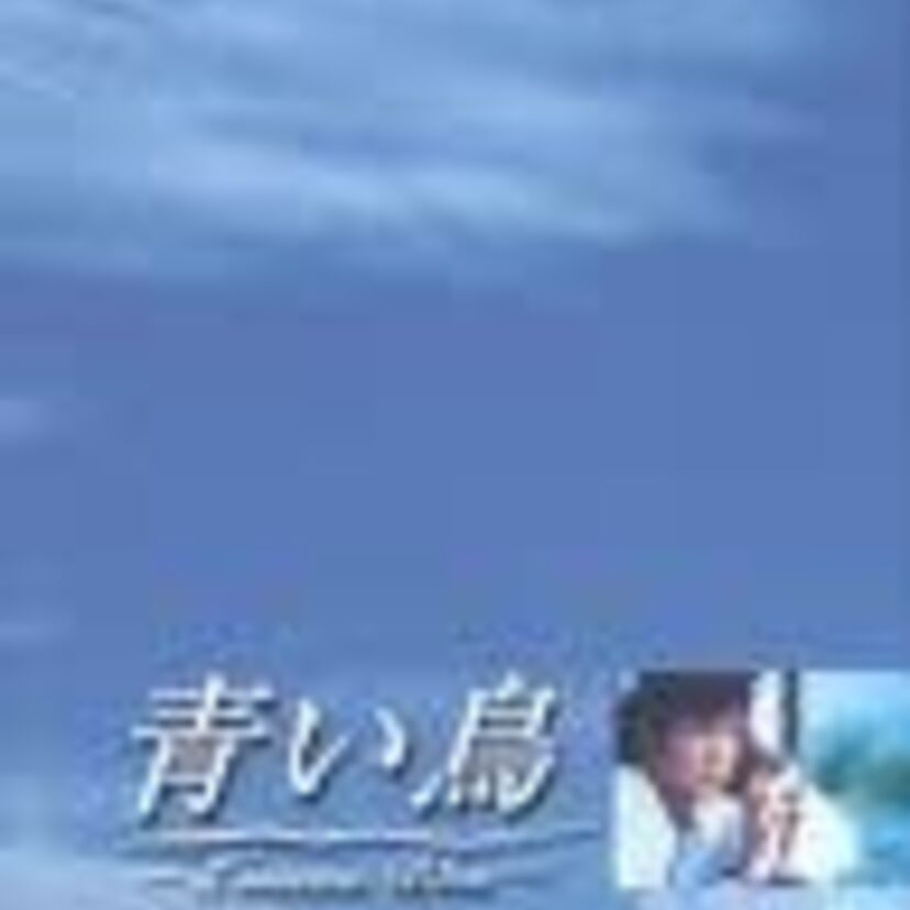 名作ぞろい！野沢尚さんの脚本されたドラマを振り返ってみよう！