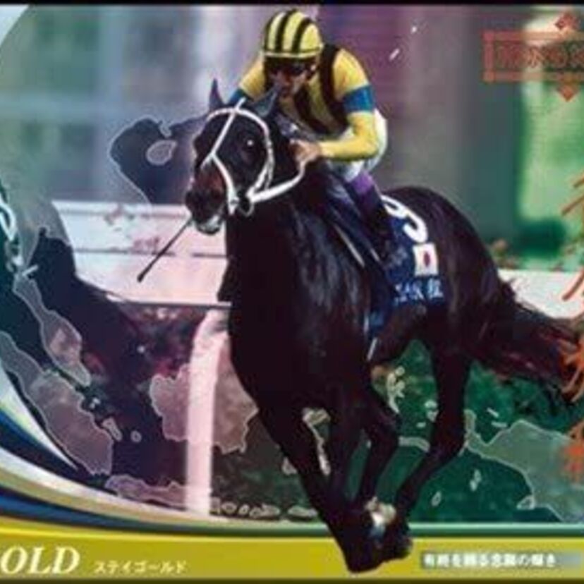 シルバーコレクターでは終わらなかった。引退間際に見せた光。そして今もなお輝きを増し続けている。  ステイゴールド