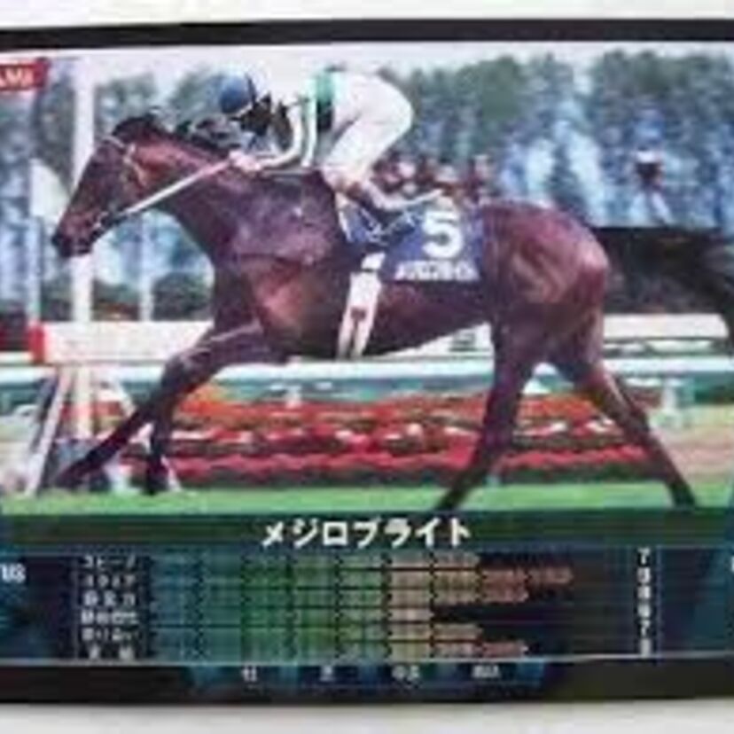 ロベルト・ヘイロー時代に敢然と立ち向かった父内国産馬！  メジロブライト
