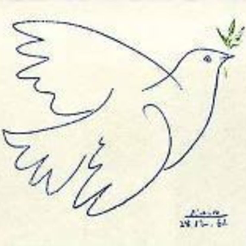 君は見たか？！美しき日本の在来種、5属13種の鳩たちを！！！