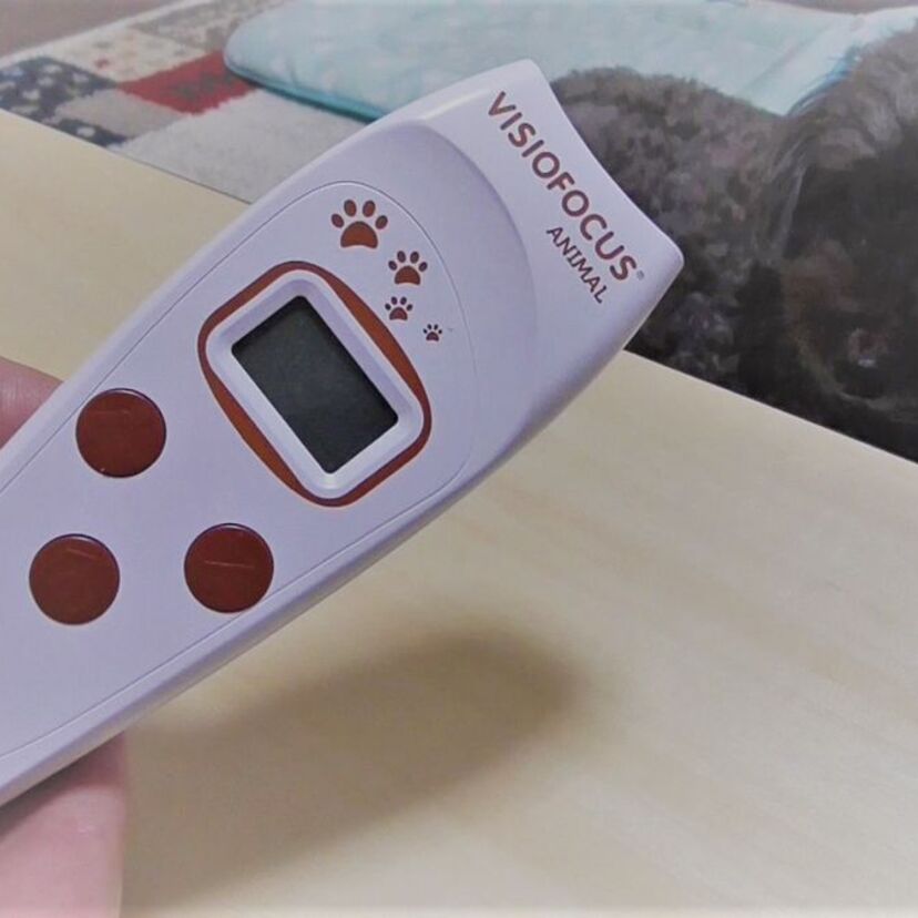 動物用非接触型体温計ビジオフォーカス、愛犬や愛猫の健康管理をご提案。