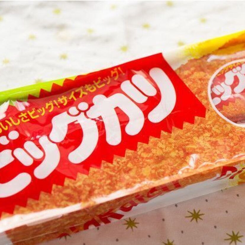 駄菓子の定番「ビッグカツシリーズ」がパッケージデザインをリニューアル！他のロングセラー駄菓子もご紹介！！
