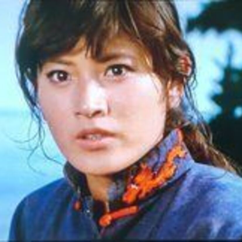 【志穂美悦子】女必殺拳シリーズなどアクション作品で活躍！長渕剛との結婚やヌード・濡れ場情報！