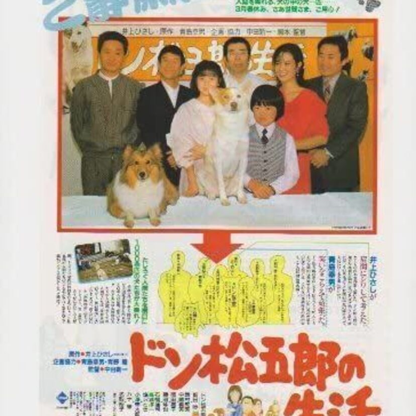 映画【ドン松五郎の生活】西村知美デビュー作品・犬が人間の言葉を話す!?井上ひさし小説を実写化