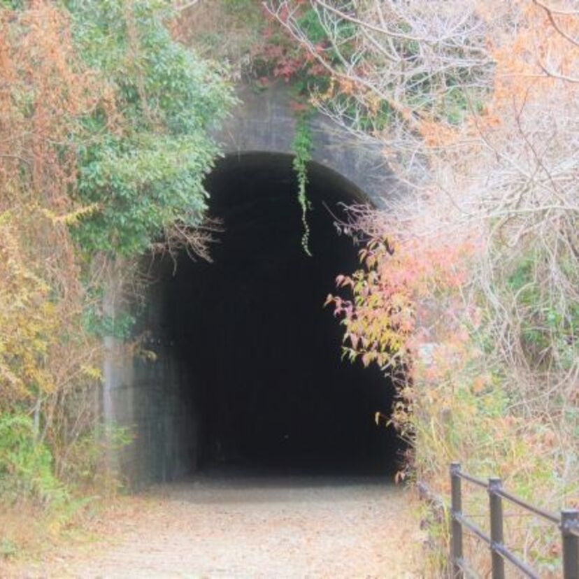 映画「犬鳴村」の舞台の旧犬鳴トンネルで実際にあったリンチ焼殺事件とは?