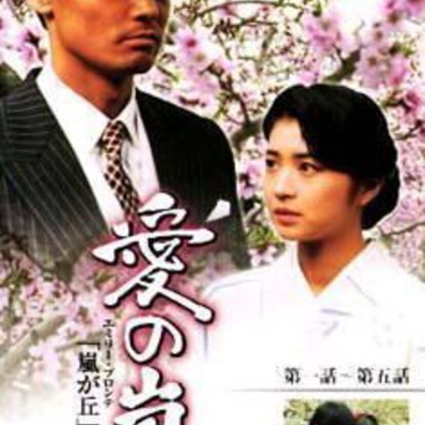愛の嵐（東海テレビ制作昼ドラ）の原作は名作「嵐が丘」ドラマと原作との比較