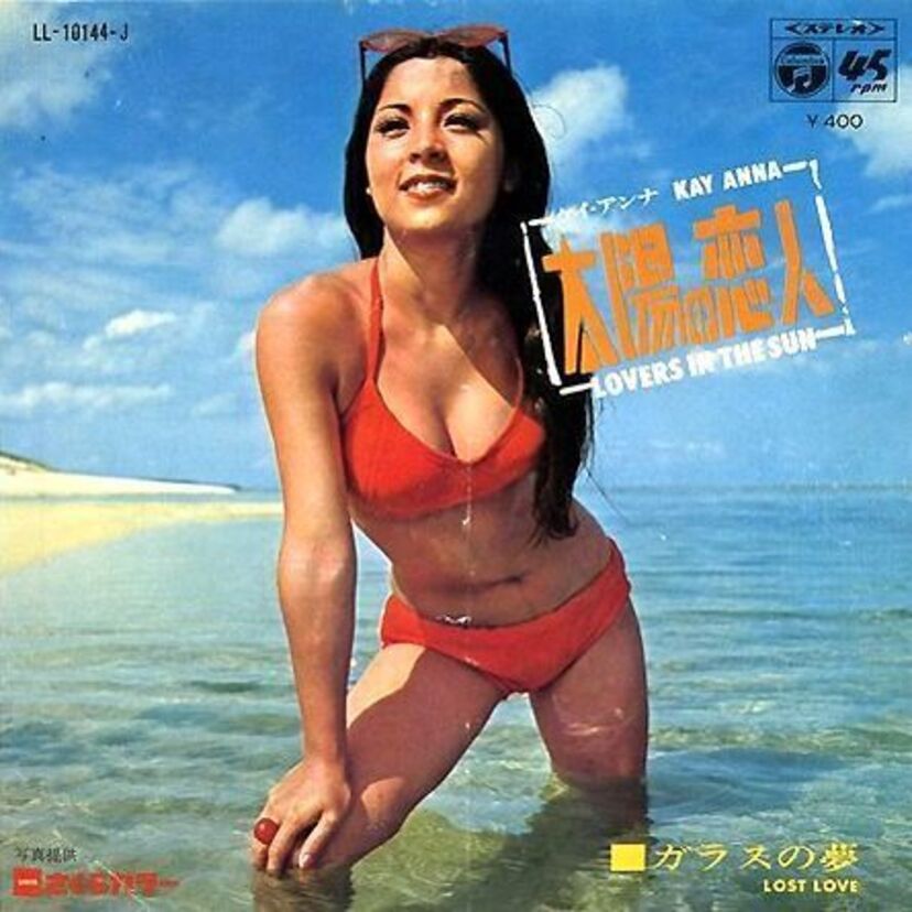 モデルや司会で好感度ナンバーワン美人ハーフタレント『ケイ・アンナ』って覚えてる？！