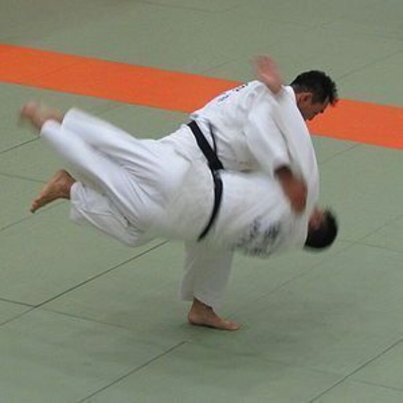 見る人すべてに感動を与えた、柔道のつわものたち