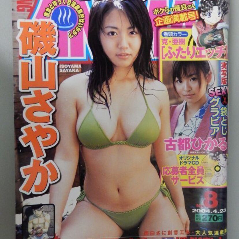 青木裕子、さとう珠緒らが表紙を飾った漫画雑誌「ヤングアニマル」！創刊30周年を記念したオーディションを開催！！