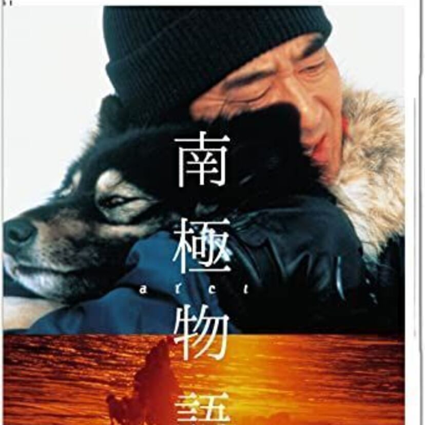 映画「南極物語」をフルで無料視聴できる動画配信サービスを比較！