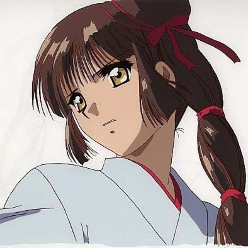 懐かしいアニメヒロイン２：吸血姫美夕・プラレス3四郎・光の伝説・ときめきトゥナイト・風の谷のナウシカ・花の子ルンルン・魔法の天使クリィミーマミ他