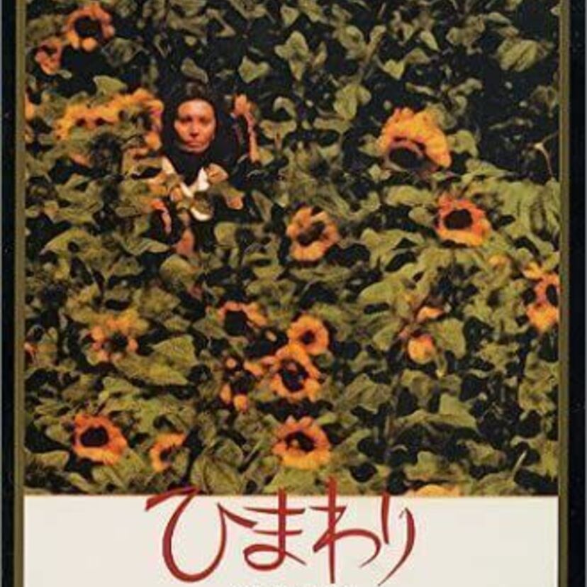 映画『ひまわり』に主演したソフィア・ローレンとマルチェロ・マストロヤンニのその後が知りたい！