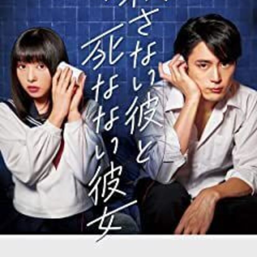 映画「殺さない彼と死なない彼女」をフルで無料視聴できる動画配信サービスを比較！