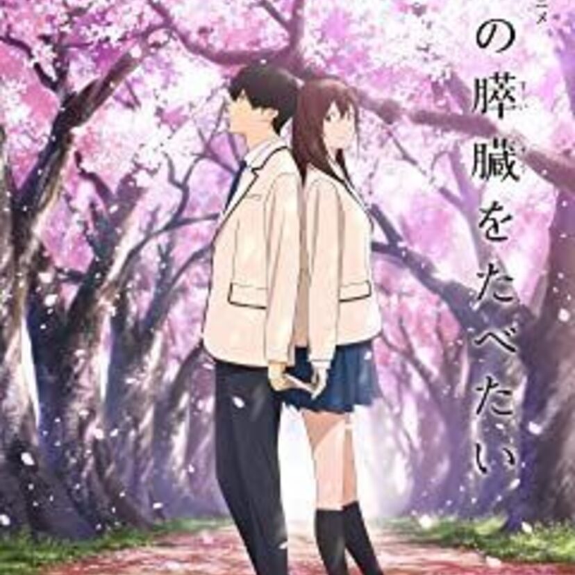 映画「君の膵臓をたべたい」をフルで無料視聴できる動画配信サービスを比較！