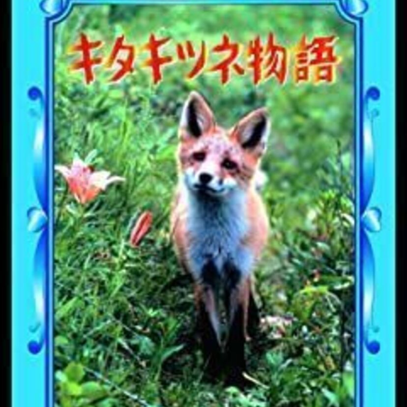 映画「キタキツネ物語」をフルで無料視聴できる動画配信サービスを比較！