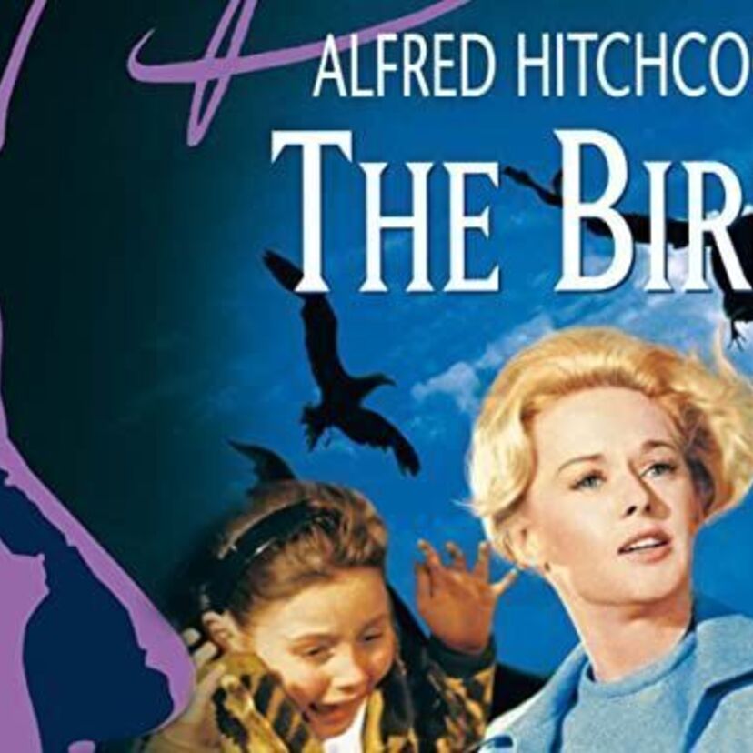 映画「鳥」をフルで無料視聴できる動画配信サービスを比較！