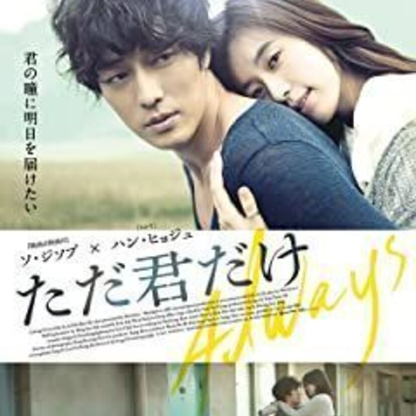 映画「ただ君だけ」をフルで無料視聴できる動画配信サービスを比較！