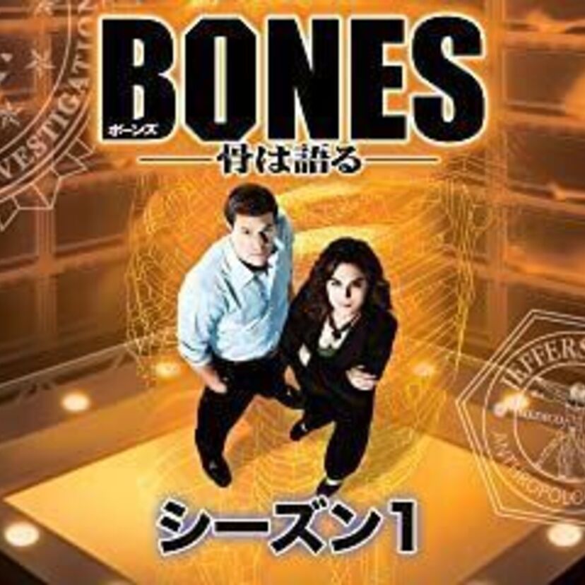 ドラマ「BONES (ボーンズ) -骨は語る-」をフルで無料視聴できる動画配信サービスを比較!