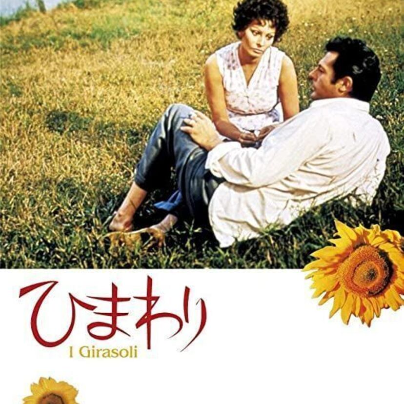 映画「ひまわり」をフルで無料視聴できる動画配信サービスを比較！