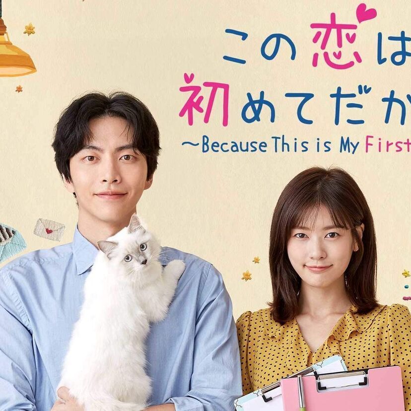 韓国ドラマ「この恋は初めてだから」をフルで無料視聴できる動画配信サービスを比較！
