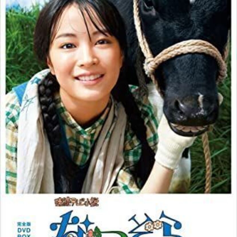 ドラマ「なつぞら」をフルで無料視聴できる動画配信サービスを比較！