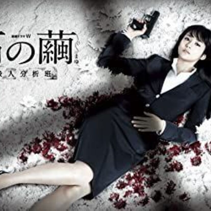 ドラマ「石の繭 殺人分析班」をフルで無料視聴できる動画配信サービスを比較！ 