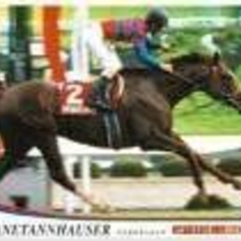 【GII3勝】最強の兄弟馬にも先着した実力馬マチカネタンホイザ