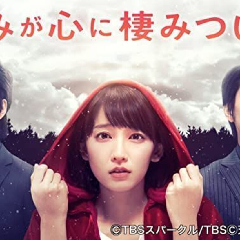 「きみが心に棲みついた」をフルで無料視聴できる動画配信サービスを比較！