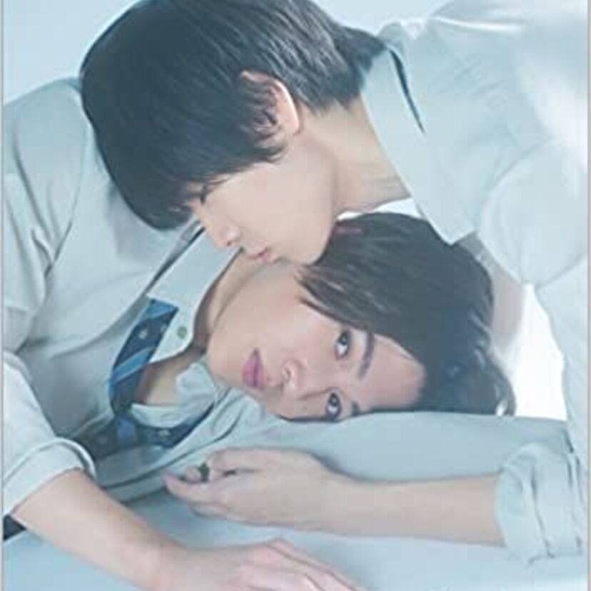 国内ドラマ「美しい彼」をフルで無料視聴できる動画配信サービスを比較！