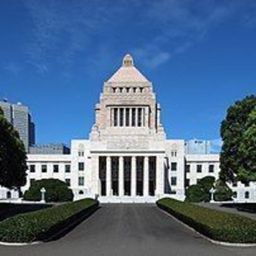 昭和にタレント議員になったのは誰か覚えていますか？