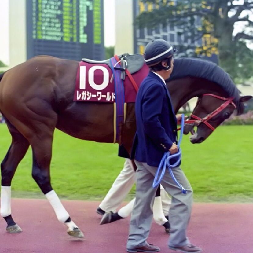 【JC優勝】去勢して才能が開花！騸馬として初めてGIを勝ったレガシーワールド