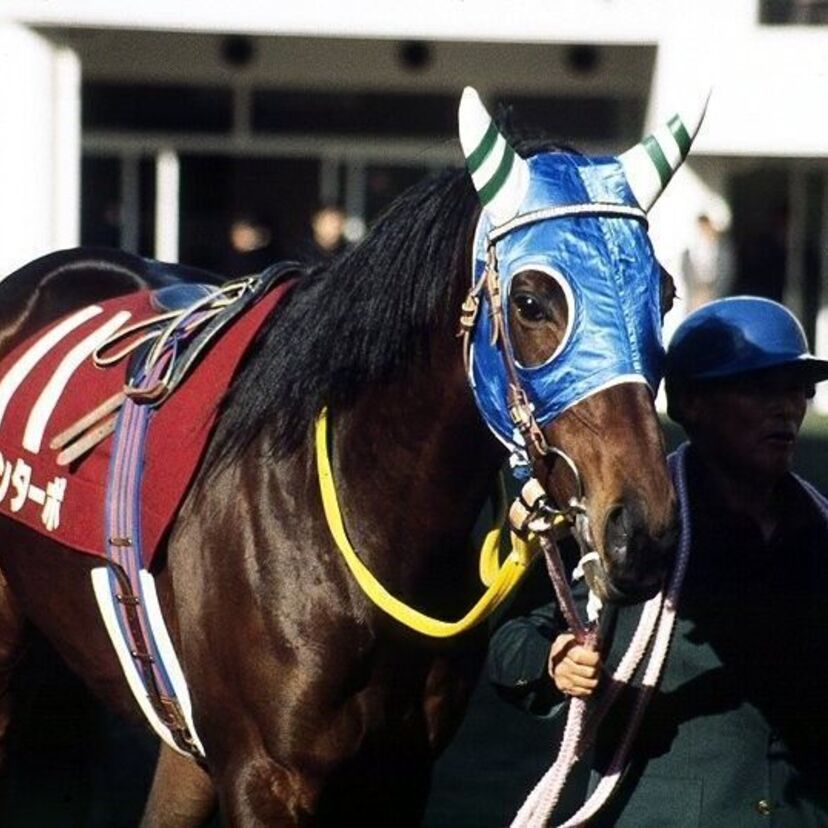 【小さな逃亡者】この馬が出るとレースが面白くなる！人気の大逃げ馬！ツインターボ