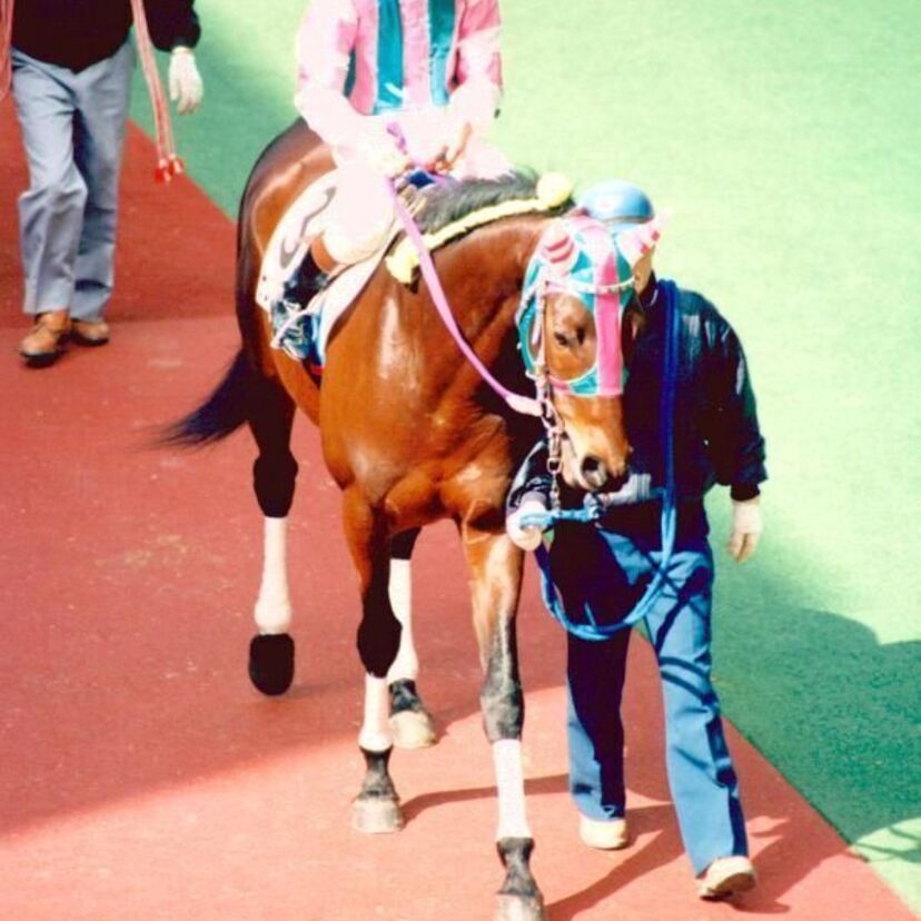 【逆三冠馬!?】ナリタブライアン三冠の裏の記録がすごかった！サムソンビッグ