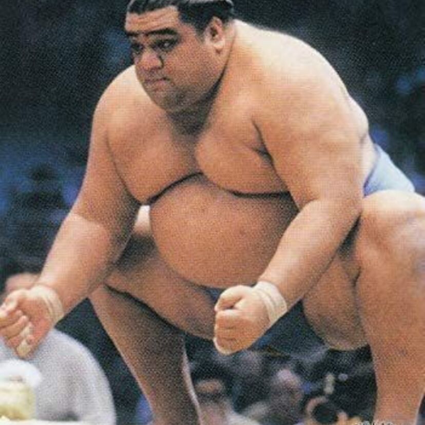 【11勝4敗で優勝!?】過去に本当にあった！史上最も勝ち星の少ない幕内優勝