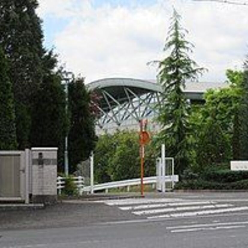 なぜ廃部！？PL学園野球部復帰の可能性は？出身有名人や偏差値について調査