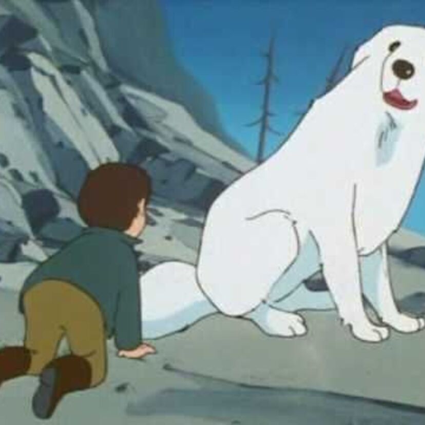 【名犬ジョリィが実写映画化】「走れ～ジョリィ　トゥルルルル♪」「ジョリィと僕とで半分こ♪」毎週欠かさず観てました。