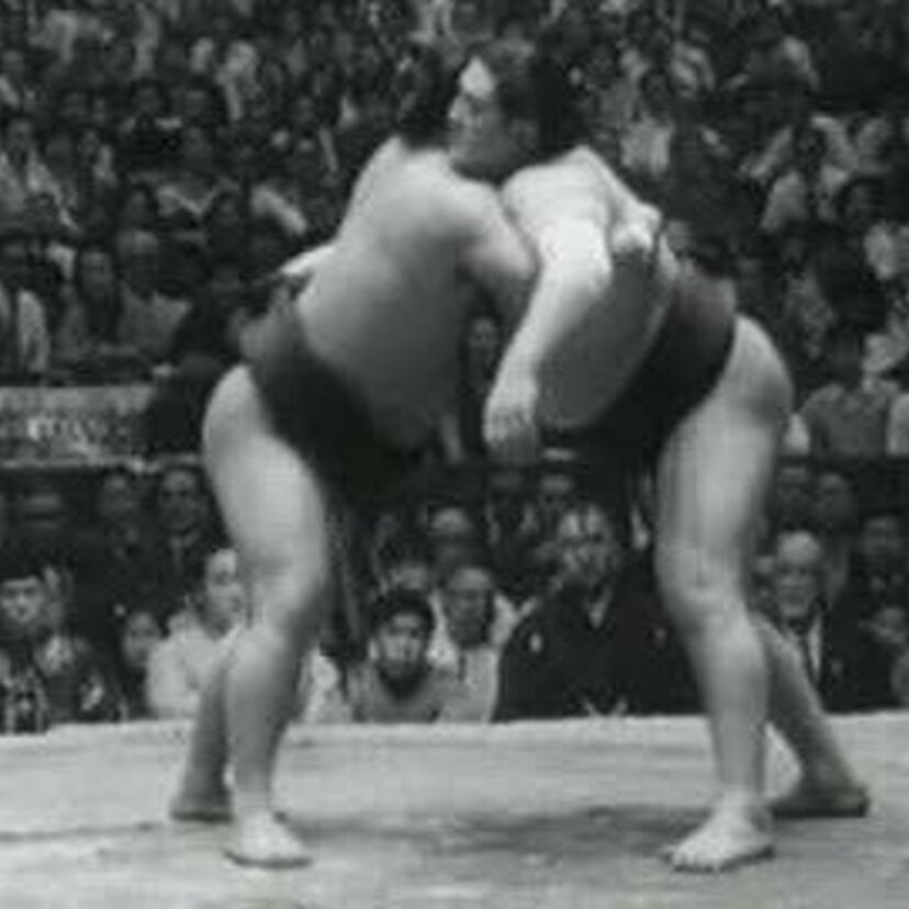 【短命横綱】在位期間は1年ちょっと!?もっと見たかった5人の横綱