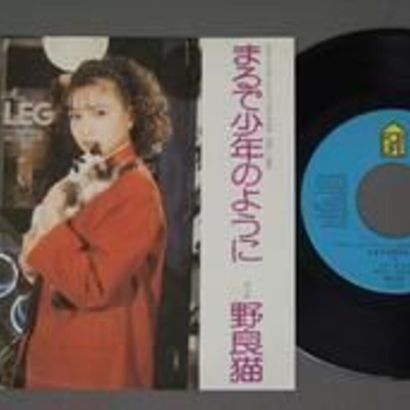 坂口良子主演ドラマ「田中丸家御一同様」